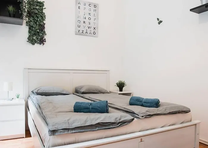 Big Apartment In The City Centre