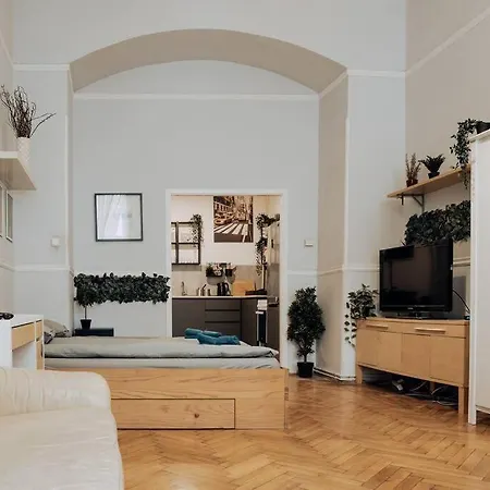 Big Apartment In The City Centre Budapest Exterior photo